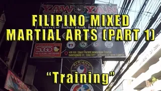 Filipino Mixed Martial Arts: (1)"Training"
