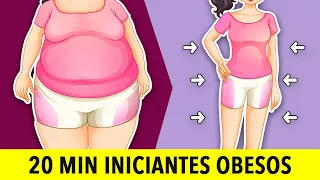 Treino De 20 Minutos Para Iniciantes Obesos