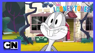 Noile Looney Tunes | La vânătoare de iepuri! | Cartoon Network