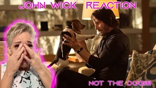 John Wick | First Time Watching | Movie REACTION