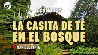 CÓMO ES por dentro la CABAÑA del BOSQUE: la CASA de TÉ más SOLICITADA de MAR del PLATA