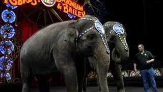 Ringling Bros. circus ends elephant act amid animal cruelty concerns