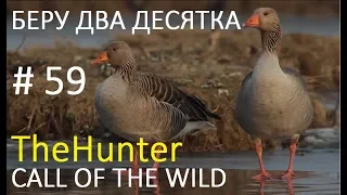 Мир охоты theHunter Call of the Wild # 59