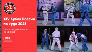 XIV Кубок России по кудо - обзор предварительных поединков в категории 230 ед.