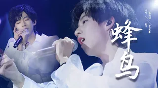 【时代少年团-贺峻霖 𝑯𝒆 𝑱𝒖𝒏𝑳𝒊𝒏】20200111《蜂鸟》TF家族新年音乐会——重逢