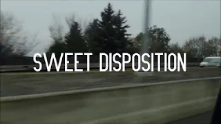 The Temper Trap - Sweet Disposition (Fan Made Music Video)