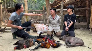 Caught the thief who caused many of wild boar and chickens to go missing, Vang Hoa