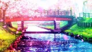 Lofi Chill Relaxing Beats Music | Hanami Anime Scenery Study Session Relaxing Music