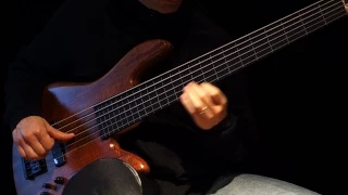 Six String Fretless Bass Solo & Ebow to R E L A X - Healing Sun