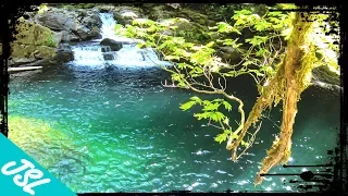 Siouxon Creek | MOST BEAUTIFUL Swimming Hole of Washington State