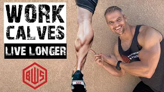 Train Calves if You Want to live longer!