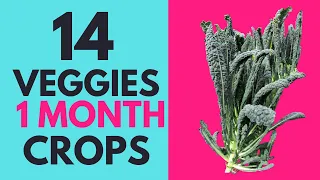 14 fast growing Vegetables You can Harvest within 30 days ( only ONE MONTH CROPS)