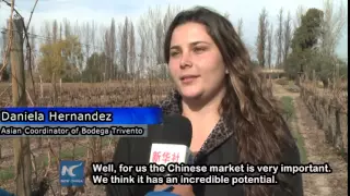 Argentinean winemaker tries to decipher Chinese tastes