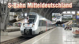 S-Bahn Mitteldeutschland im Jahr 2021