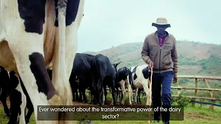 Transforming lives through dairy farming: The TIDE project.