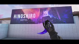 Karambit "Nebula" pattern 741 + Gloves "Neuro" Standoff 2