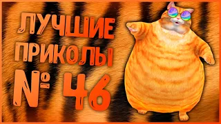 Лучшие приколы 46😂 очень смешные приколы 😂 10 минут смеха 😂 подборка приколов 😂 приколы 2019 год