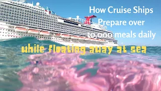 How Do Cruise Ships Prepare Over 30000 Daily Meals While Floating Away At Sea? #facts