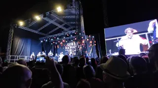 Goran Bregovic & Wedding and funeral band