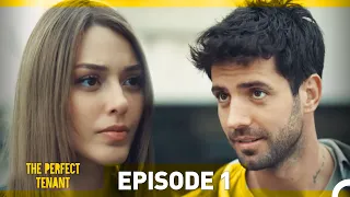 The Perfect Tenant Episode 1 (English Subtitles)