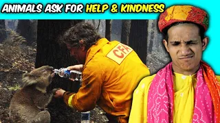 Villagers React To Animals That Asked People for Help & Kindness ! Tribal People React To