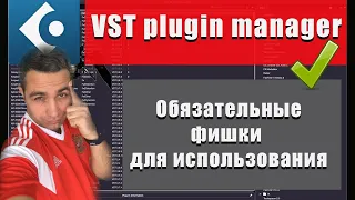 VST Manager CUBASE 12 - Как разобраться в куче плагин! Всегда под рукой!!!