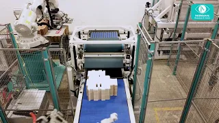 Robotic Stack Palletizer - Blank Palletizing - Folding Carton Automation - NuMove