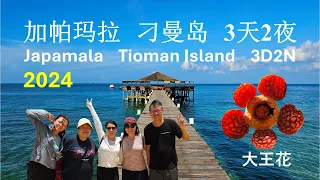 Japamala Tioman 加帕玛拉刁曼岛马来西亚