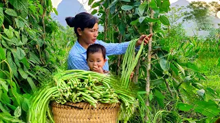 Simple happiness: Labor Day and gratitude of the Family in the cowpea garden