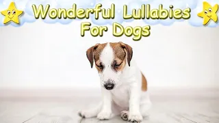 Soft Calming Sleep Music For Puppies ♫ Calm Relax Your Pet ♥ Lullaby For Dogs Dog Music