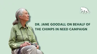 Dr. Jane Goodall on Behalf of the Chimps in Need Campaign