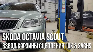 Skoda Octavia Scout (Mk2) / Замена тормозной жидкости. Взвод корзины сцепления LuK и Sachs