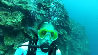 Montego Bay Scuba Dive 3 of 6 - Active panic in open water diver