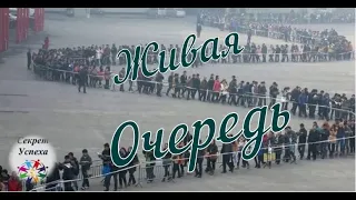 ЖИВЫЕ ОЧЕРЕДИ! НЕ ВЕДИТЕСЬ! ЛОХОТРОН!