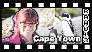 African Penguins & Shark Spotting: 48 Hours in Cape Town
