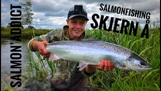 Laksefiskeri i Skjern å | 3 laks på 2 dage | laks - 79cm og 83 cm