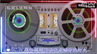 精选孙露 张玮伽20首经典歌曲