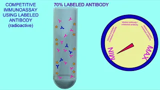 competitive immunoassay using labeled antibodies