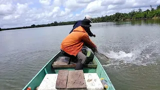 Di kira Sangkut Ternyata Kakap Putih BESAR, Mancing kulup di Muara Berau umpan Udang hidup