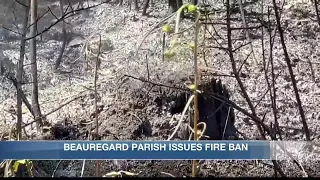 Beauregard Parish issues burn ban after debris fire burns 24 acres