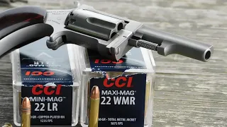 Ballistic Gel Test: 22 LR vs. 22 Magnum