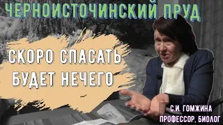 Кто виноват и что делать... Черноисточинский пруд. С.И. Гомжина