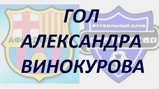 Гол Александра Винокурова (Богатырёво) в ворота Дельты