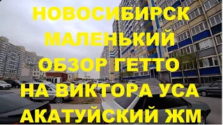 Новосибирск Виктора Уса Акатуйский ЖМ Кировский район Петухова Площадь Кирова Сибиряков Гвардейцев