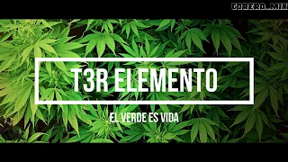 El Verde Es Vida - T3R Elemento letra