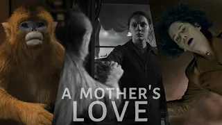 Mrs Coulter & Lyra | A Mother's Love