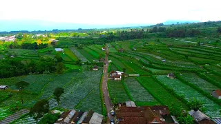 DESANYA INDAH, PETANINYA RESAH KARENA INI ❗..DUSUN KENAYAN, DESA BANYUROTO, spesial request penonton