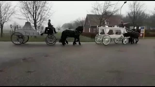 Witte uitvaartkoets / begrafeniskoets en bloemenwagen.