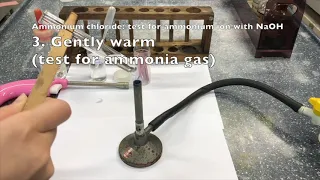 QA Test for Ammonium Ion with aqueous sodium hydroxide