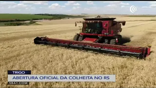 Canal do Boi acompanha abertura oficial da colheita de trigo no RS